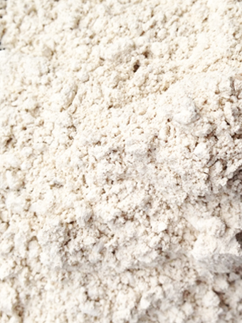 USES FOR DIATOMACEOUS EARTH | Everything you need to know about ...
